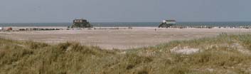 Sandbank Ording